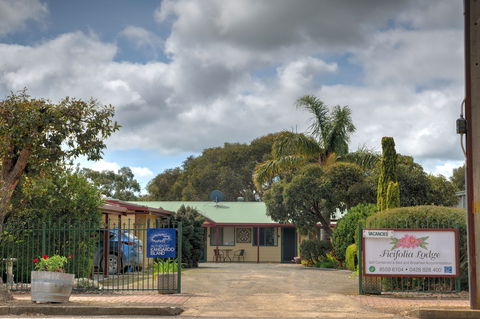 Ficifolia Lodge Kangaroo Island - Redcliffe Tourism 1