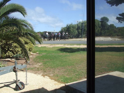 Seahorse Beach Shack - Redcliffe Tourism 1