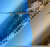 The Grass Tree Coastal Retreat Kangaroo Island - Redcliffe Tourism