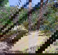 The Barracks campground - Redcliffe Tourism