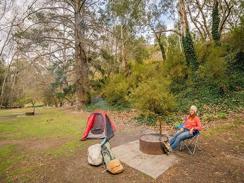 Wombeyan Caves Campground - Redcliffe Tourism 2