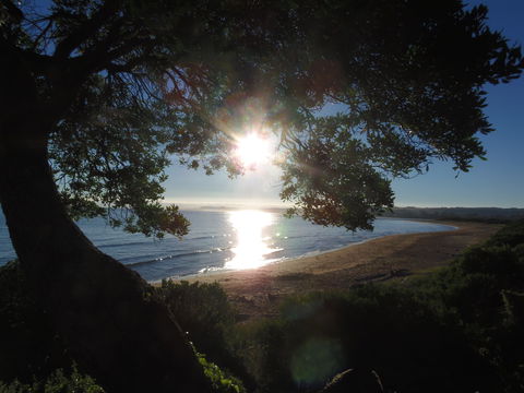 Apex Beachside Holiday Park - Redcliffe Tourism 1