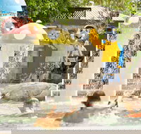 Ashmore Palms Holiday Village - Redcliffe Tourism