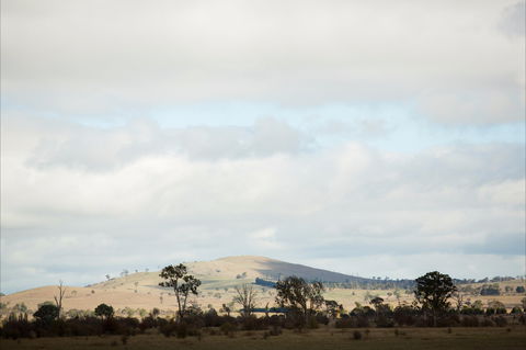 Aurelias Farm Bed And Breakfast - Redcliffe Tourism 1