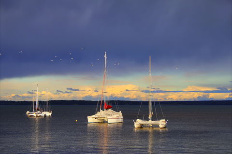 Chappies - Redcliffe Tourism 0