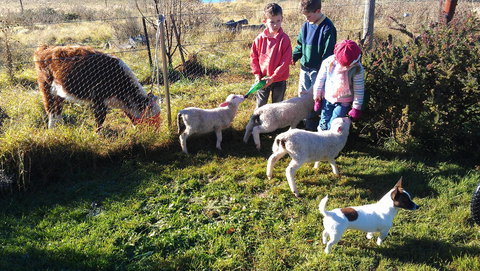 Dairy Park Farm Stay Bed And Breakfast - Redcliffe Tourism 2