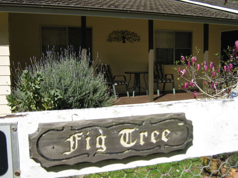 Figtree Cottage - Redcliffe Tourism 0
