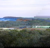 Kangaroobie - Redcliffe Tourism