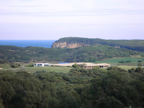 Kangaroobie - Redcliffe Tourism 0