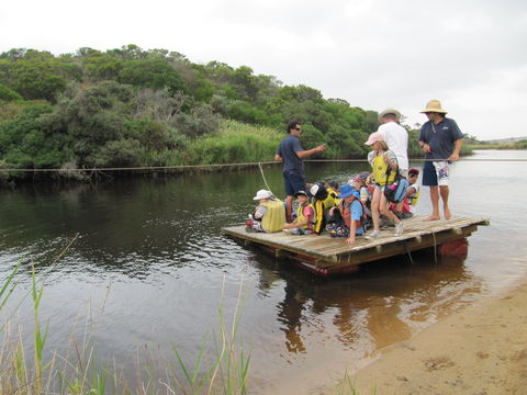 Kangaroobie - Redcliffe Tourism 1