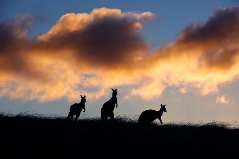 Sky House LifeTime Private Retreats - Redcliffe Tourism 1
