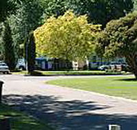 Mitchell Gardens Holiday Park - Redcliffe Tourism