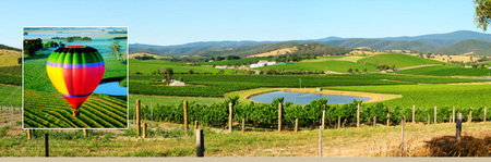 Goodwood B And B Cottage - Redcliffe Tourism 3