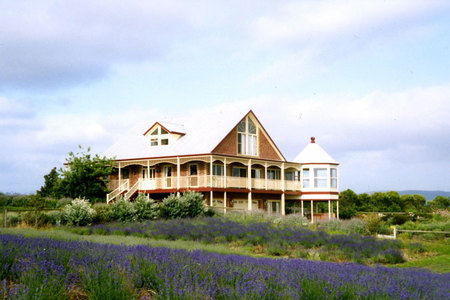 Serendipity Lavender Farm - Redcliffe Tourism 0