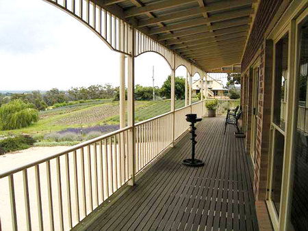 Serendipity Lavender Farm - Redcliffe Tourism 2