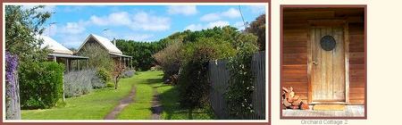 Orchard Cottage - Redcliffe Tourism 0
