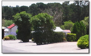 Wantirna Park - Redcliffe Tourism 5
