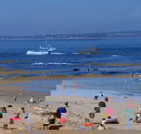 QueenscliffeTourist Park - Redcliffe Tourism