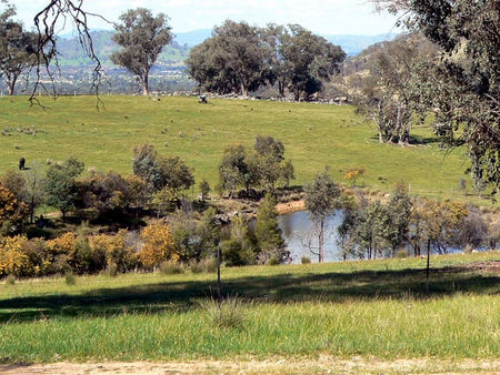 Gaddleen Grove Cottages - Redcliffe Tourism 3