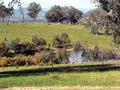 Gaddleen Grove Cottages - Redcliffe Tourism 5
