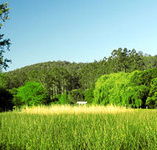 Waterholes Guest House - Redcliffe Tourism