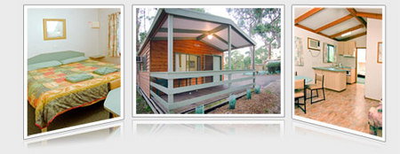 A Maze N Things Holiday Park - Redcliffe Tourism 5