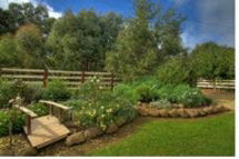 Peppermint Springs Retreat & Day Spa - Redcliffe Tourism 2