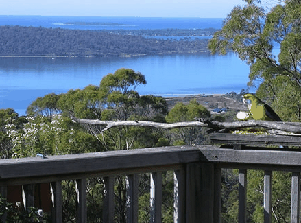 Bed in the Treetops - Redcliffe Tourism