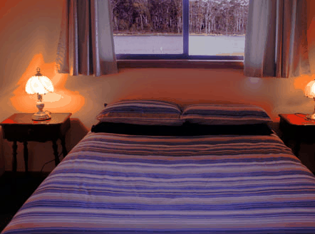 Lake Yalleena Cabins - Redcliffe Tourism