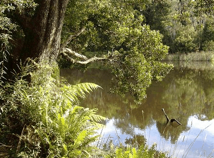 Weldborough Hotel - Redcliffe Tourism