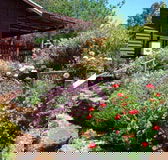 Chestnut Brook Cottage - Redcliffe Tourism