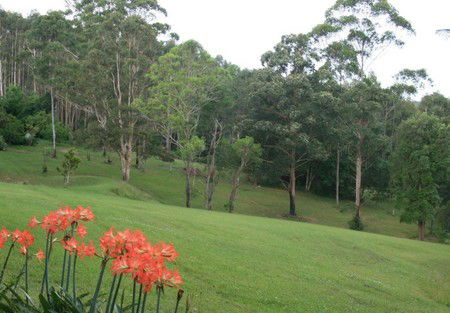 Woodridge Park Country Retreat - Redcliffe Tourism 3