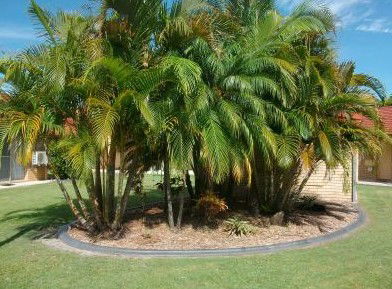 Yamba Motor Inn - Redcliffe Tourism 5