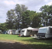 Waioma Caravan Park - Redcliffe Tourism