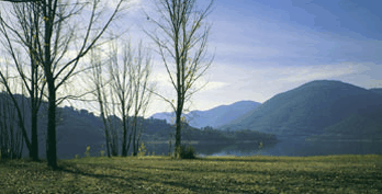 Ashton Townhouse Motel & Suites Tumut - Redcliffe Tourism 3