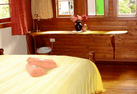 Nimbin Holiday Accommodation & Guest House - Redcliffe Tourism 5