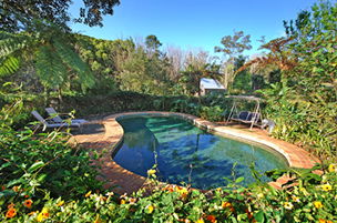 Acacia Dreaming At Light On Retreat - Redcliffe Tourism 3