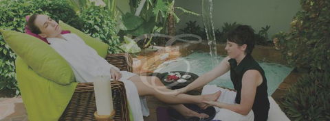 Peppers Spa - Palm Cove - Redcliffe Tourism 3