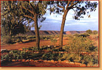 Kings Creek Station - Redcliffe Tourism 1