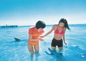  Redcliffe Tourism