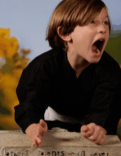 Turner Galleries - Redcliffe Tourism 3