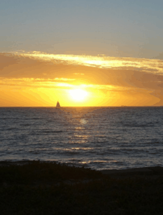Kidogo Arthouse - Redcliffe Tourism 1