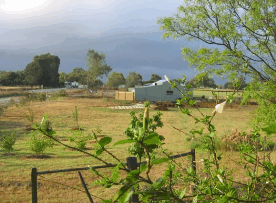 The House Of Honey - Redcliffe Tourism 2