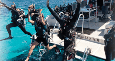 Snorkel Safari Brisbane - Redcliffe Tourism