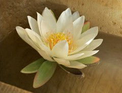Orchid Day Spa - Redcliffe Tourism 2