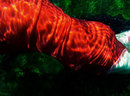 Dark Horse Experiment - Redcliffe Tourism 0