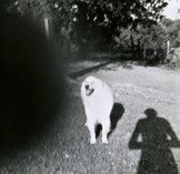 Fehily Contemporary - Redcliffe Tourism 2