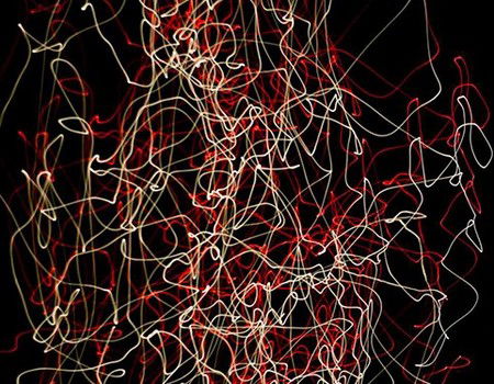 Eleven40 Gallery - Redcliffe Tourism 1