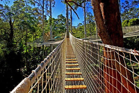 Thunderbird Park - Redcliffe Tourism 0