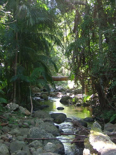 Thunderbird Park - Redcliffe Tourism 2